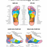 Plakát A3 FOOT REFELEXOLOGY CHART - oboustranný