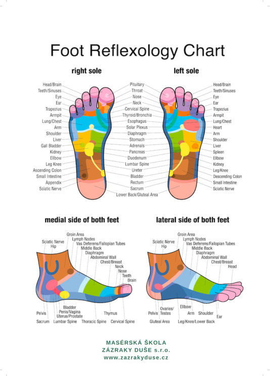 Plakát A3 FOOT REFELEXOLOGY CHART - oboustranný