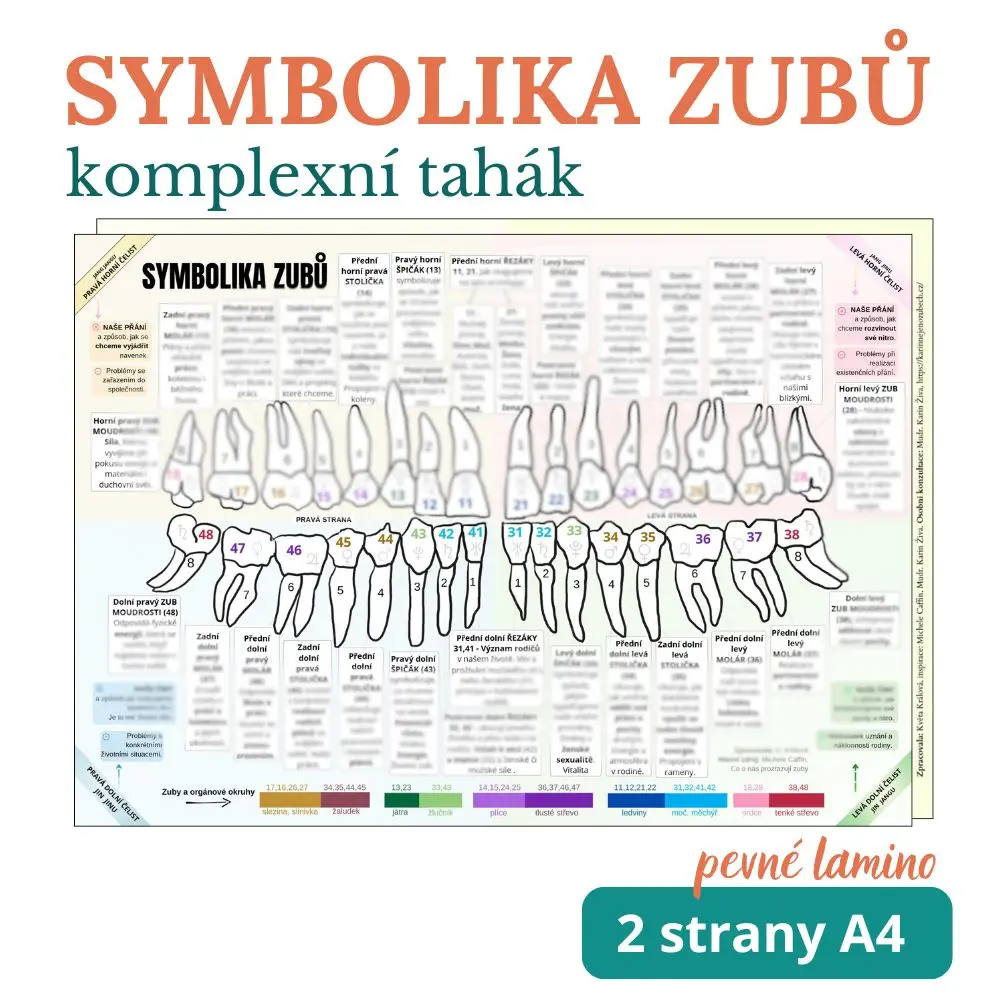 Symbolika zubů - komplexní tahák